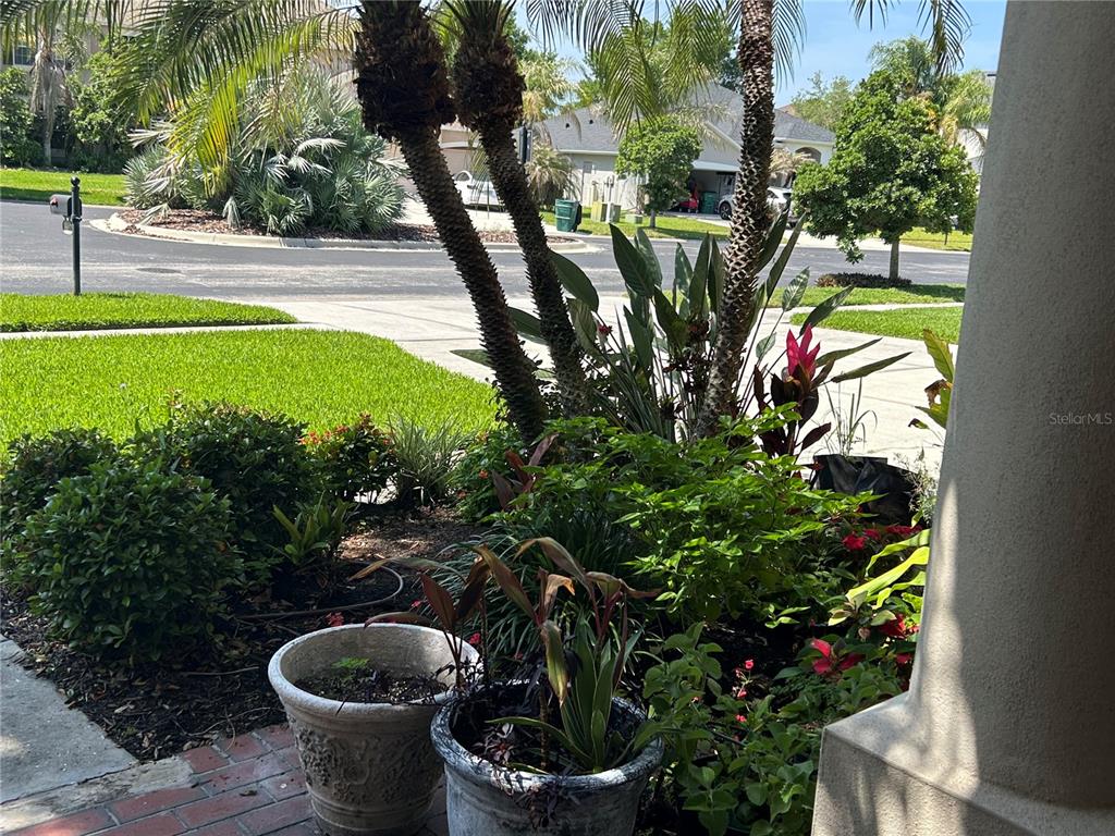 A view from a porch looking out at a landscaped front yard and street — 26612 SHOREGRASS DRIVE, WESLEY CHAPEL, FL