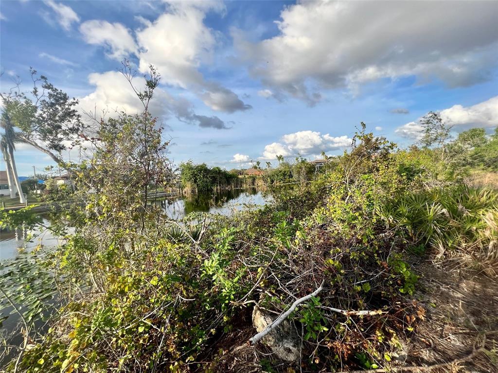 A view of a pond surrounded by dense vegetation and trees under a cloudy sky — 1430 NW 24TH PLACE, CAPE CORAL, FL