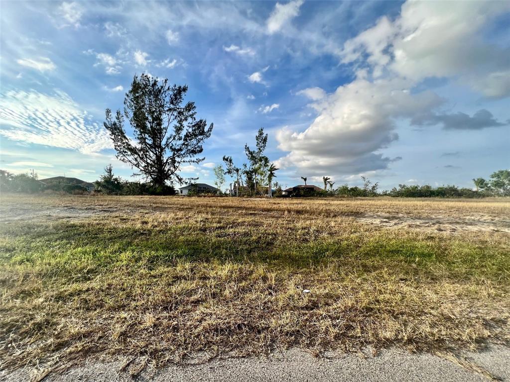 A vacant, grassy lot with scattered trees under a blue sky with clouds — 1430 NW 24TH PLACE, CAPE CORAL, FL