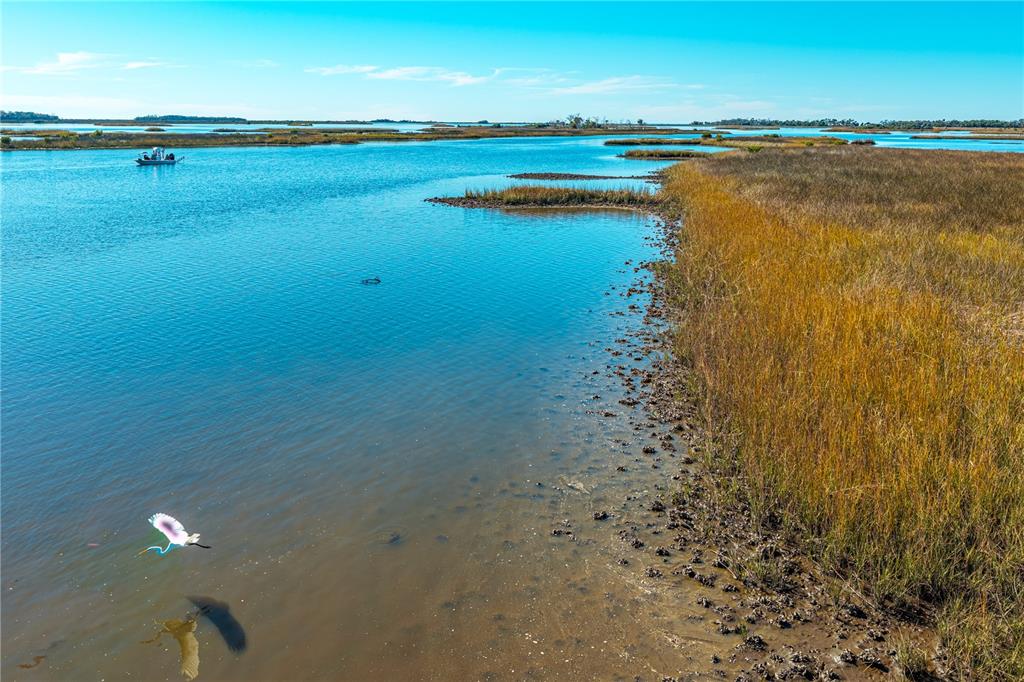 CLARK ISLAND, CEDAR KEY, FL — photo 2 of 30