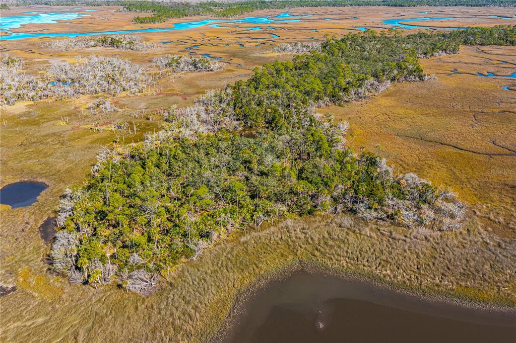 CLARK ISLAND, CEDAR KEY, FL — photo 3 of 30