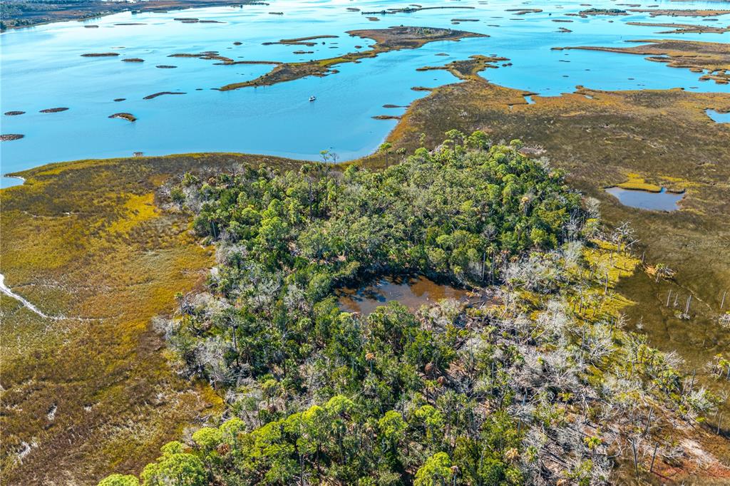 CLARK ISLAND, CEDAR KEY, FL — photo 4 of 30