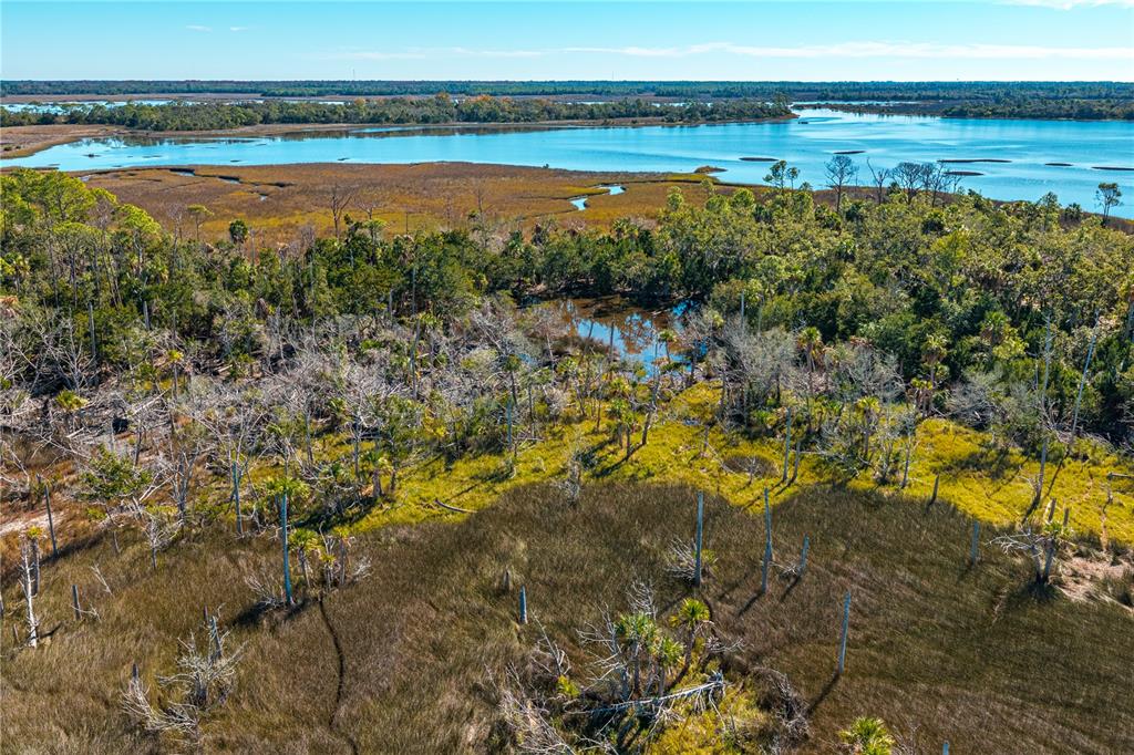 CLARK ISLAND, CEDAR KEY, FL — photo 5 of 30