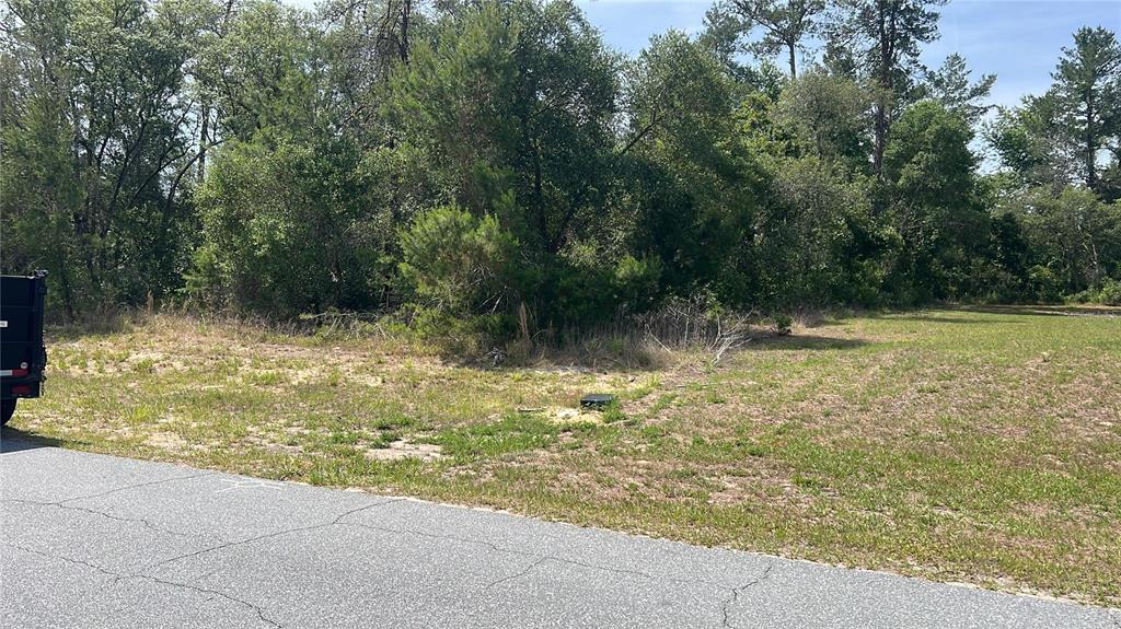 A vacant, grassy lot with scattered trees and a paved road in the foreground — TBD MARION OAKS DRIVE, OCALA, FL