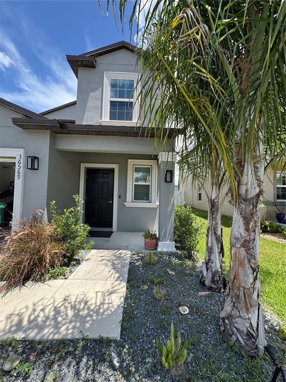 The exterior of a two-story gray house features a black front door and palm trees — 36569 SMITHFIELD LANE, ZEPHYRHILLS, FL
