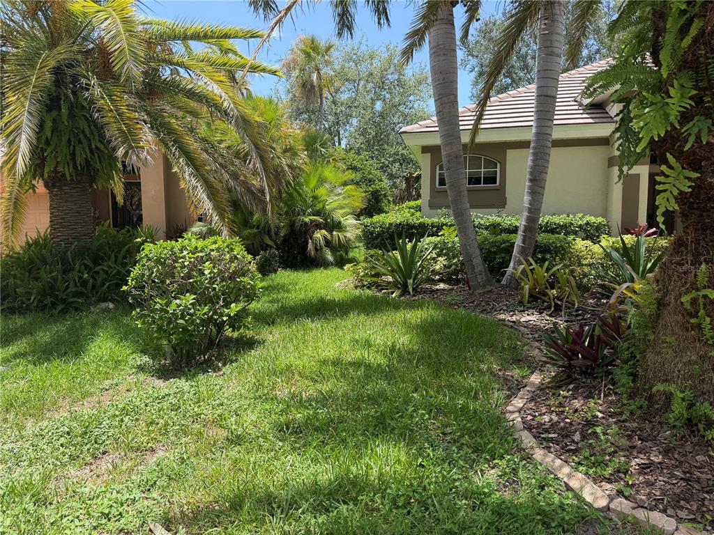 A grassy front yard features palm trees, lush landscaping, and a partial view of a house — 6506 WATERS EDGE WAY, BRADENTON, FL