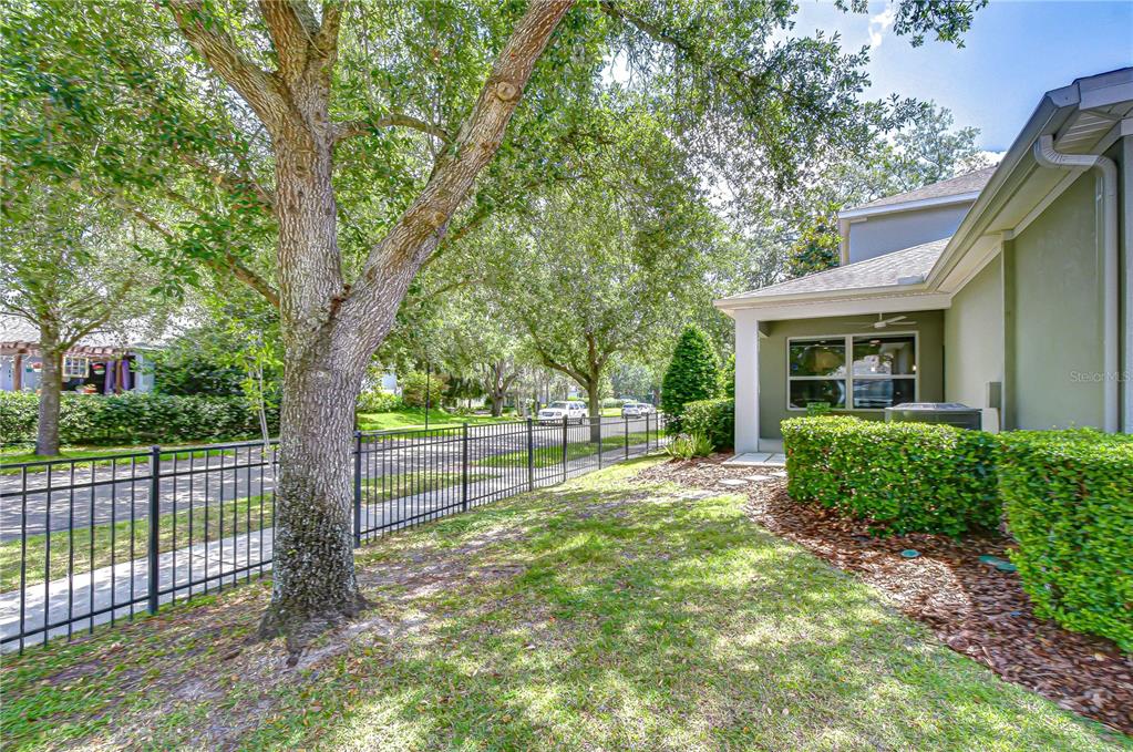 A grassy side yard with a black metal fence, mature trees, and a house exterior — 5301 MATCH POINT PLACE, LITHIA, FL