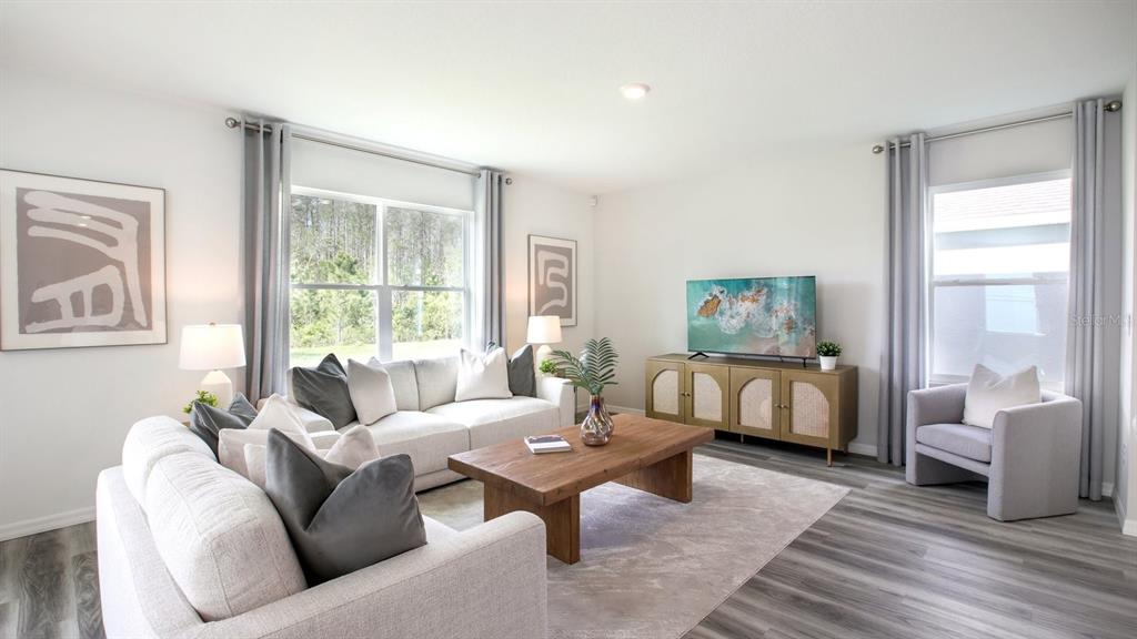 A living room features a light-colored sofa, wooden coffee table, television console, and grey flooring — 32366 WEATHERED OAK DRIVE, WESLEY CHAPEL, FL