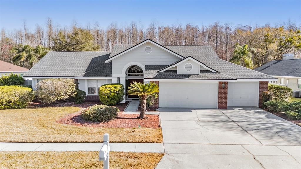 6504 THOROUGHBRED LOOP