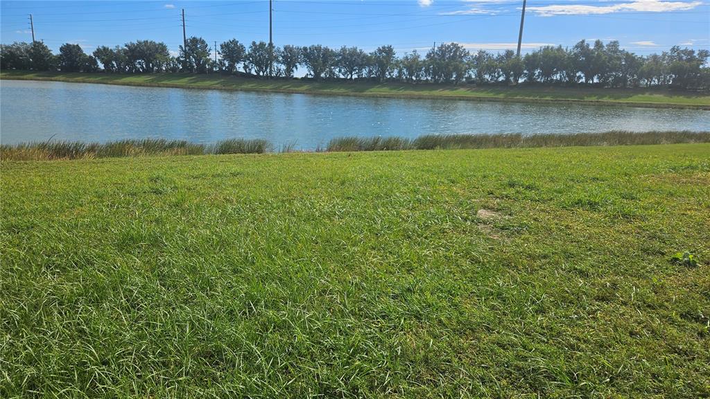 A grassy lawn slopes down toward a lake with a line of trees in the background — 6836 ARAMON COURT, WESLEY CHAPEL, FL