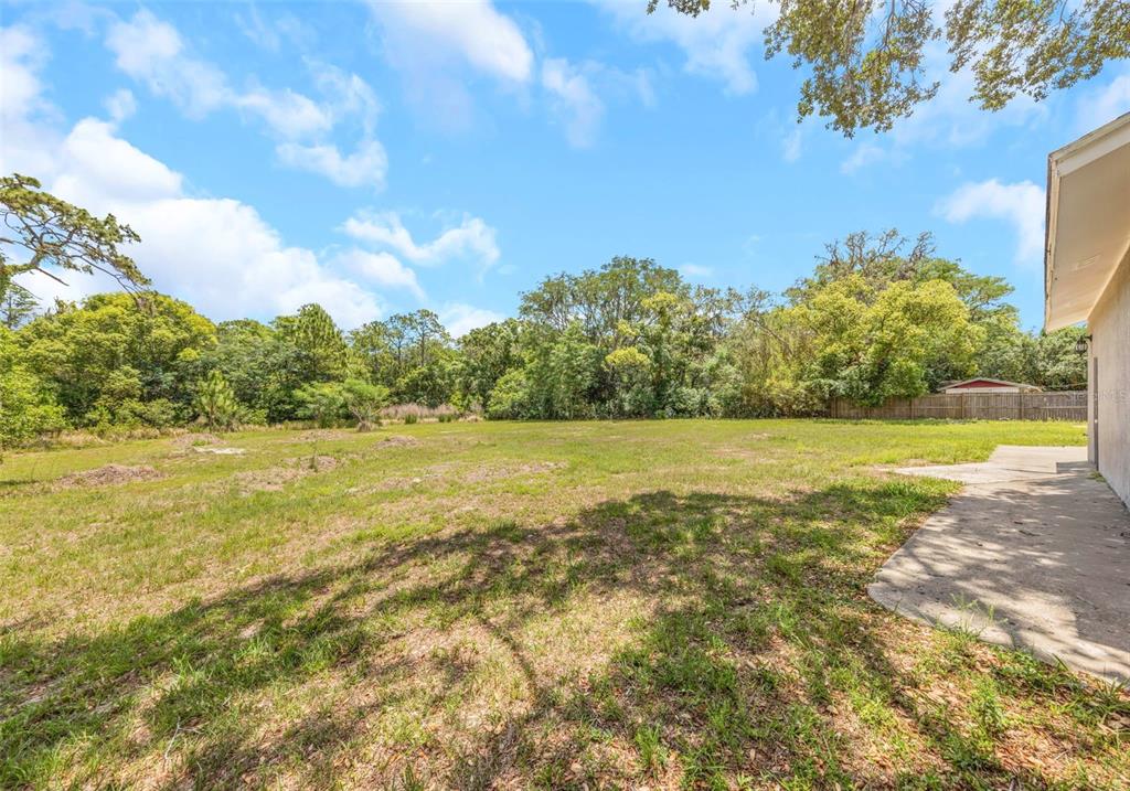 A large, grassy backyard features a concrete patio and dense trees in the background — 9224 ELZA STREET, NEW PORT RICHEY, FL