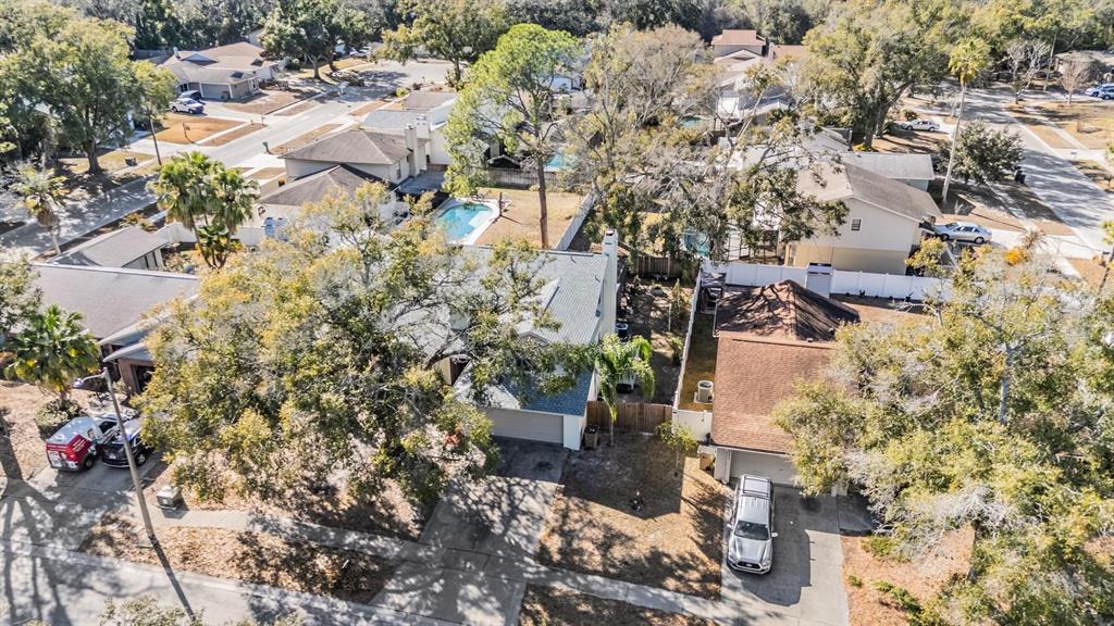 An aerial view shows two suburban houses with driveways, trees, and a backyard swimming pool — 12604 RAIN FOREST STREET, TEMPLE TERRACE, FL