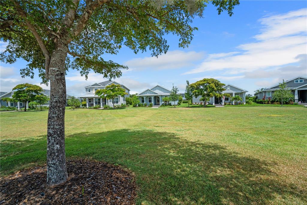 A large grassy lawn sits in front of several suburban houses under a blue sky — 17057 PINE LILY LANE, PUNTA GORDA, FL