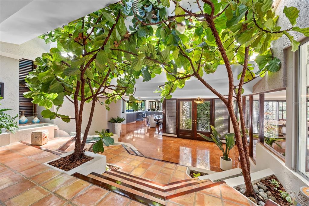 An indoor atrium features two large fiddle-leaf fig trees, terracotta tile flooring, and glass doors — H A 28  VILLA CAPARRA, GUAYNABO, PR