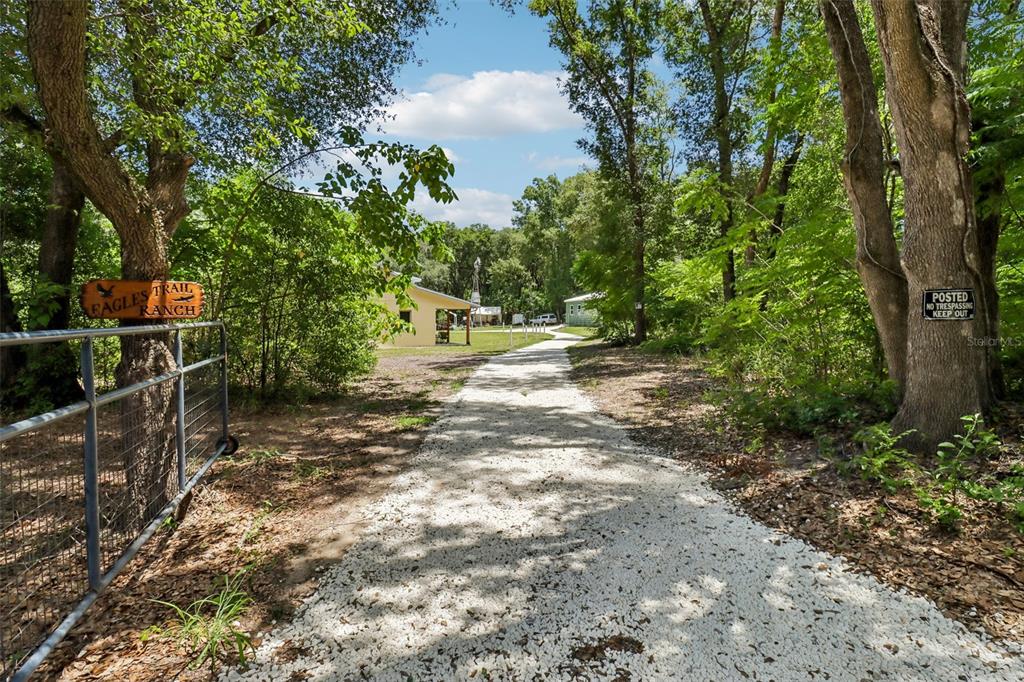 A gravel driveway leads through a wooded area toward a ranch house with a gate — 16161 SE 137TH COURT, WEIRSDALE, FL