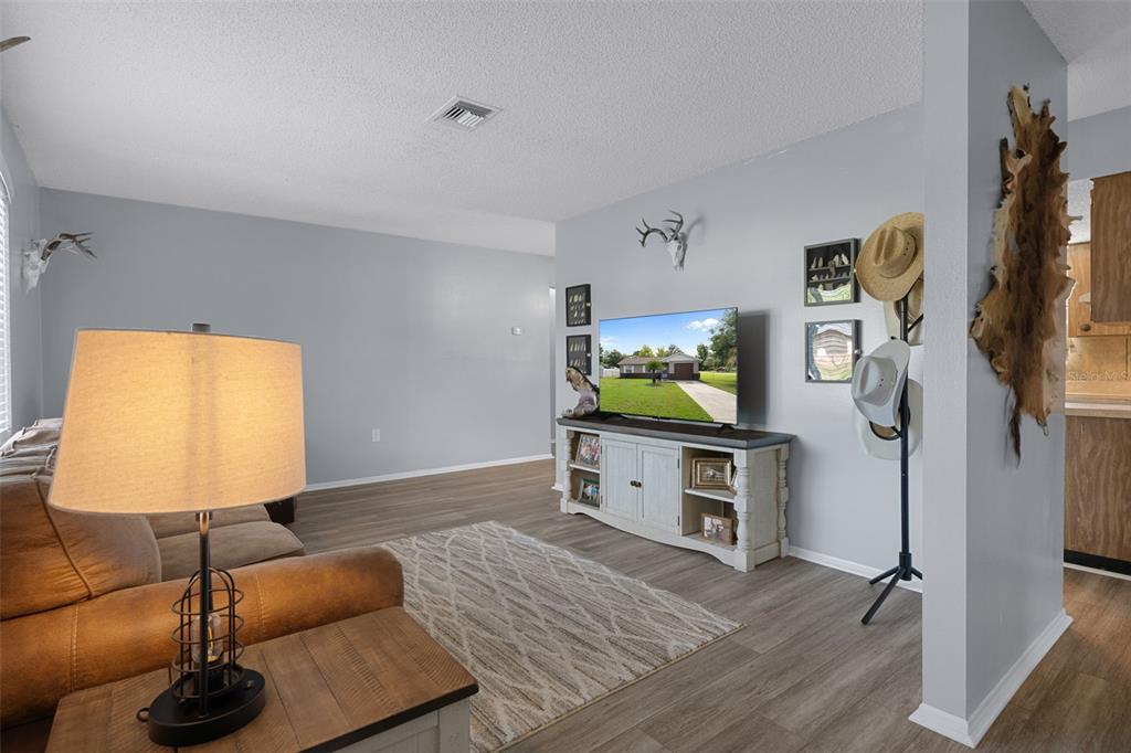 A living room features light gray walls, wood-look flooring, a TV console, and western decor — 7740 W SOLAR PLACE, HOMOSASSA, FL