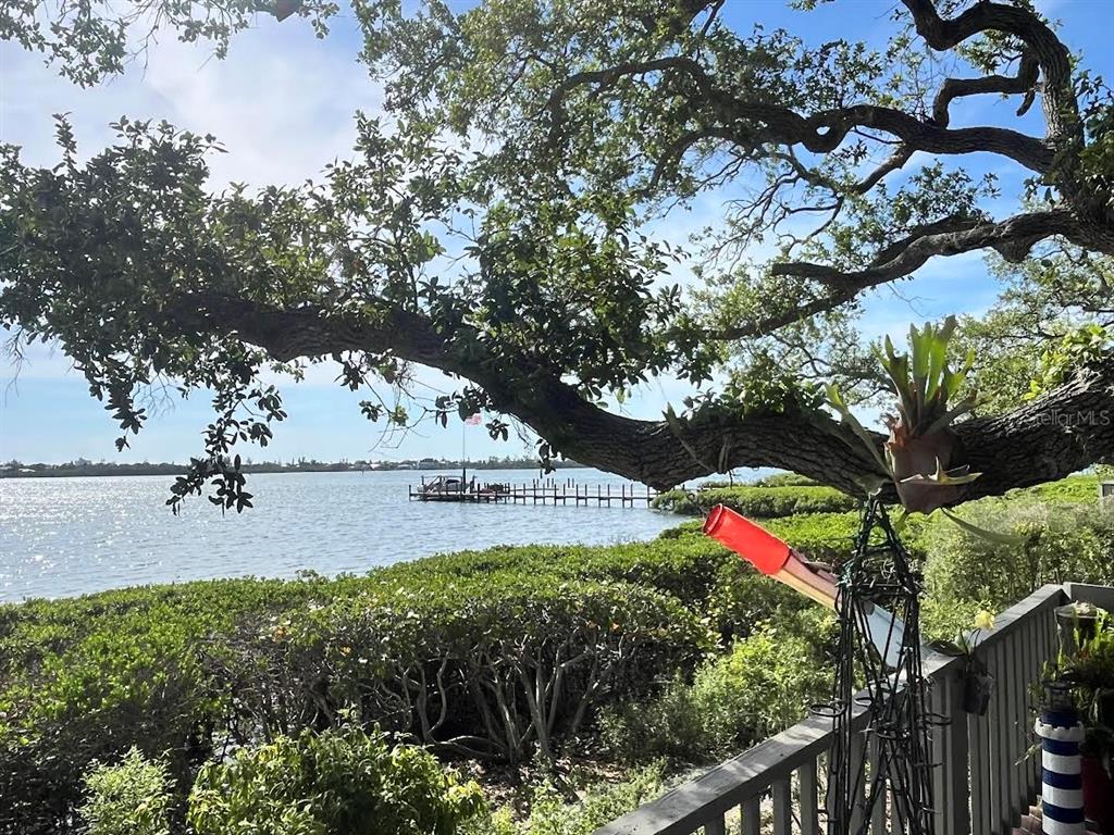 A view of a waterfront dock and mangroves from a deck under a large tree — 1335 LANDINGS DRIVE UNIT 9, SARASOTA, FL