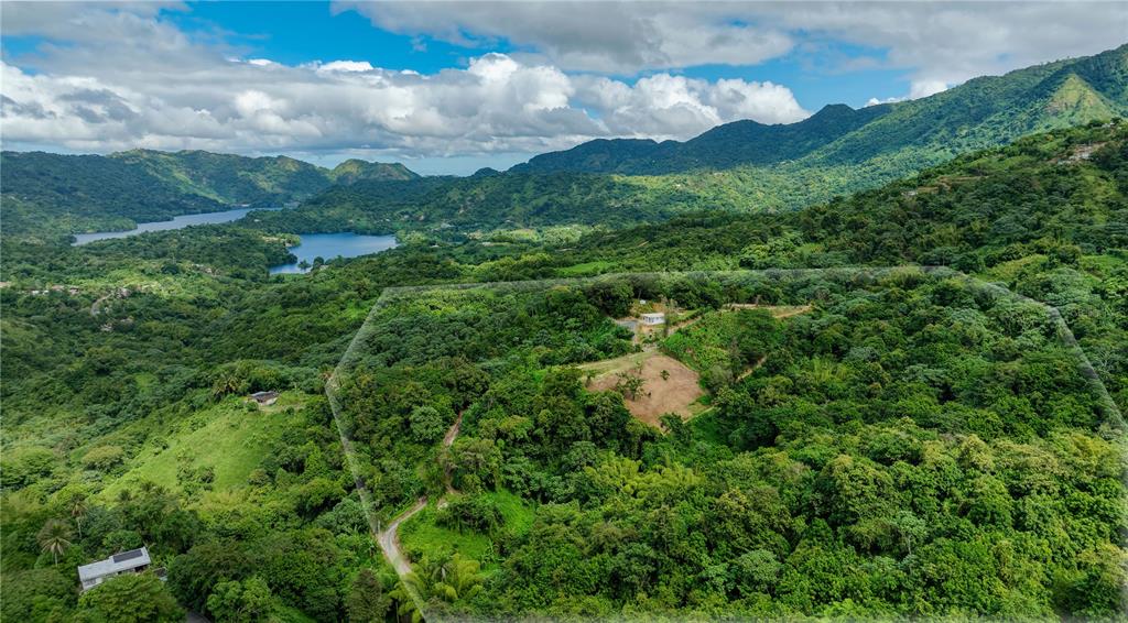 An aerial view shows a large, forested plot of land with a small house — Carr. 140 KM 17.9, UTUADO, PR