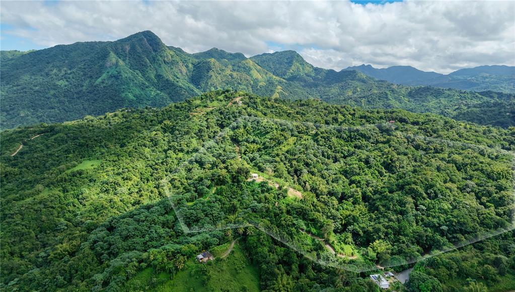 An aerial view shows a lush, forested hillside with a small house and property boundaries — Carr. 140 KM 17.9, UTUADO, PR