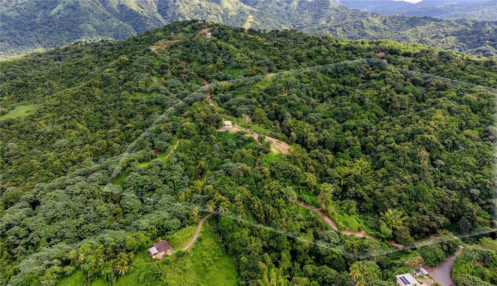 An aerial view shows a large, hilly, forested property with a dirt road and houses — Carr. 140 KM 17.9, UTUADO, PR