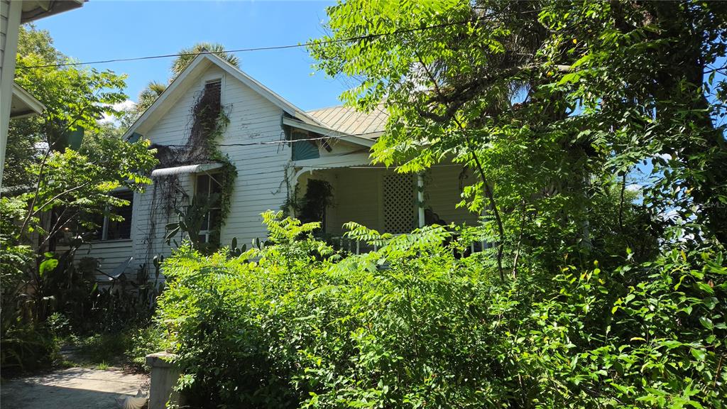 A white wood-sided house with a front porch is partially obscured by dense green foliage — 236 N AMELIA AVENUE, DELAND, FL