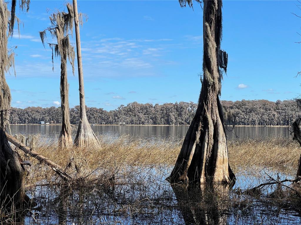 Cypress trees with Spanish moss stand in a lake with a distant treelined shore — 24510 NE STATE RD 26, MELROSE, FL