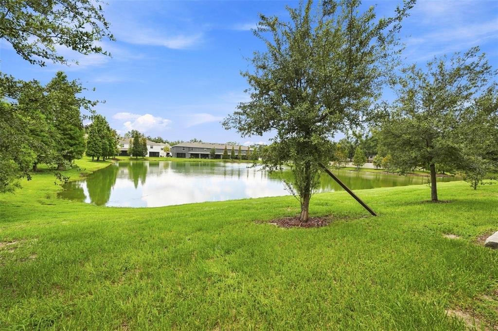 A grassy lawn slopes down toward a pond with residential buildings in the background — 3144 PLEASANT WILLOW COURT, BRANDON, FL