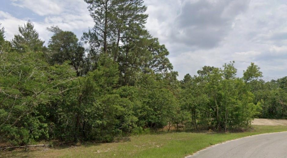 A paved road curves past a vacant, wooded lot with dense trees and brush — 0000 SW 66TH AVENUE, OCALA, FL