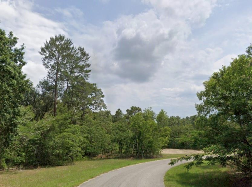 A paved road curves through a wooded lot with dense trees and a cloudy sky — 0000 SW 66TH AVENUE, OCALA, FL
