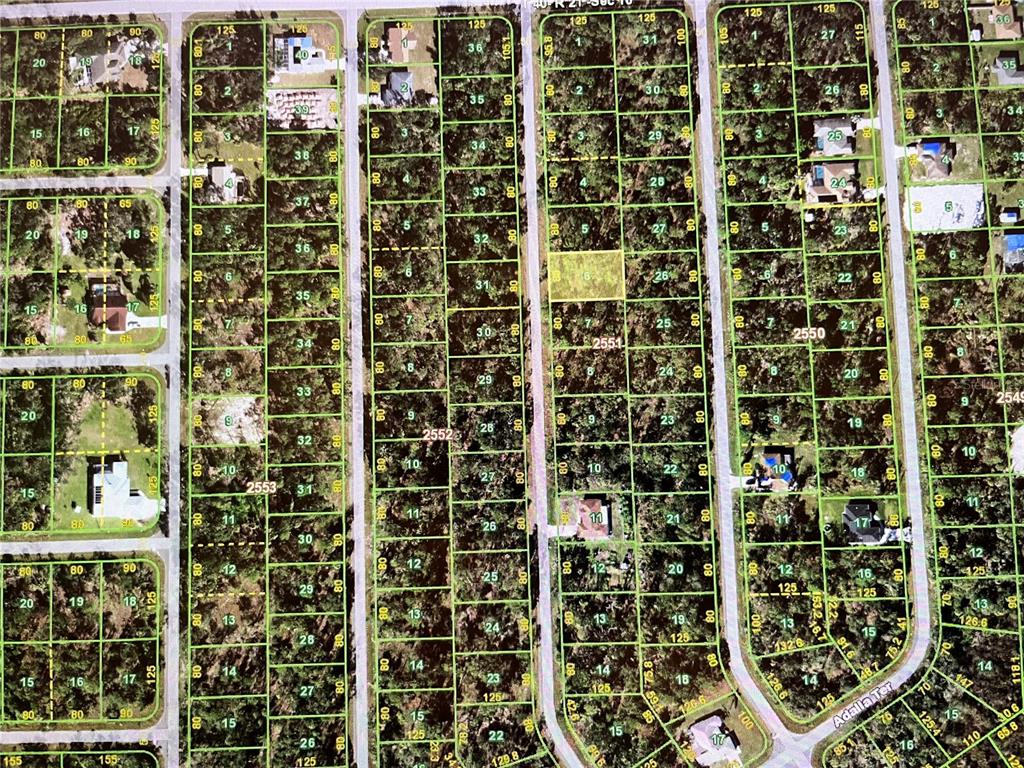 This is a satellite map view of a residential neighborhood with numerous vacant land parcels — 1048 SHERWIN STREET, PORT CHARLOTTE, FL