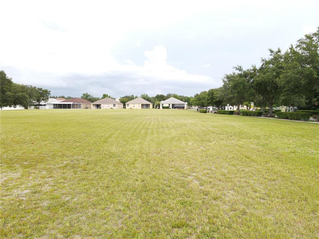 A wide, grassy field stretches toward a row of suburban houses under a cloudy sky — 1035 NASHVILLE DRIVE, WESLEY CHAPEL, FL
