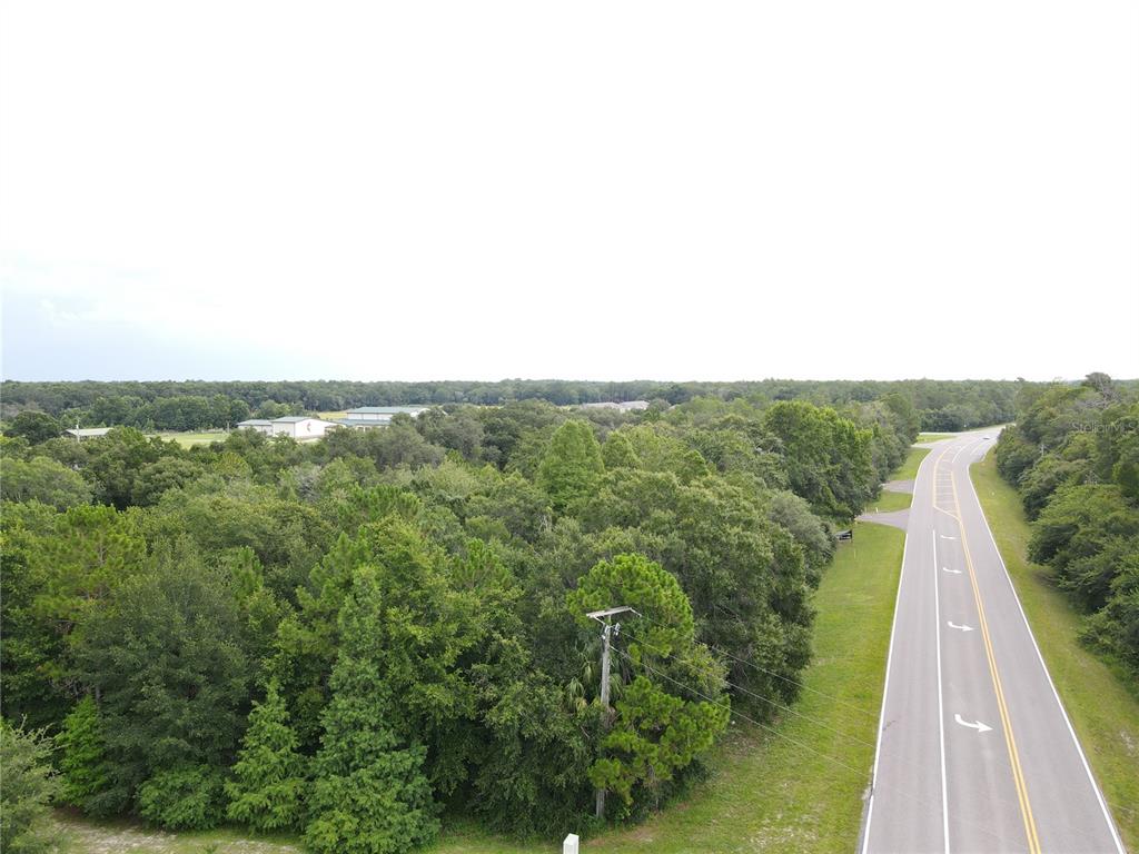 An aerial view shows a paved road running alongside a dense, wooded lot — 1035 NASHVILLE DRIVE, WESLEY CHAPEL, FL