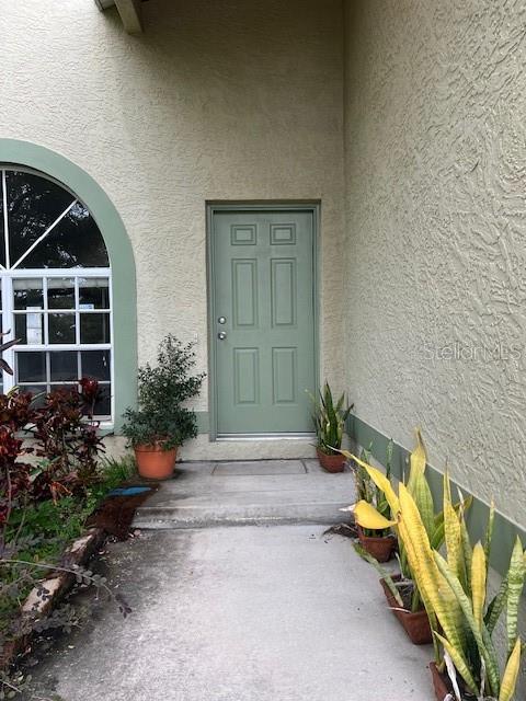 A light green front door is centered on a concrete walkway beside a arched window — 12587 PARK BOULEVARD, SEMINOLE, FL