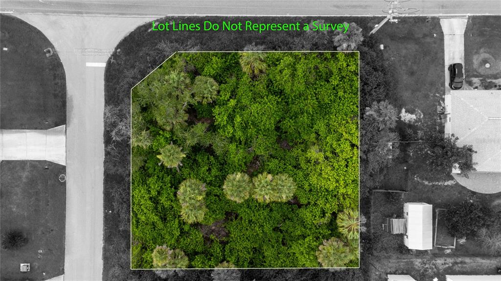 An aerial view shows a rectangular, tree-covered vacant lot outlined in white — 18390 OHARA DRIVE, PORT CHARLOTTE, FL