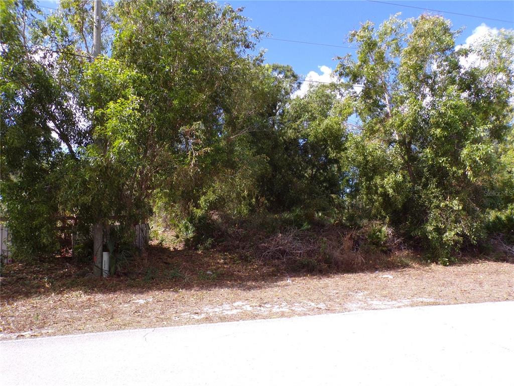 A wooded, undeveloped residential lot sits behind a paved road — 12253 GREEN GULF BOULEVARD, PUNTA GORDA, FL