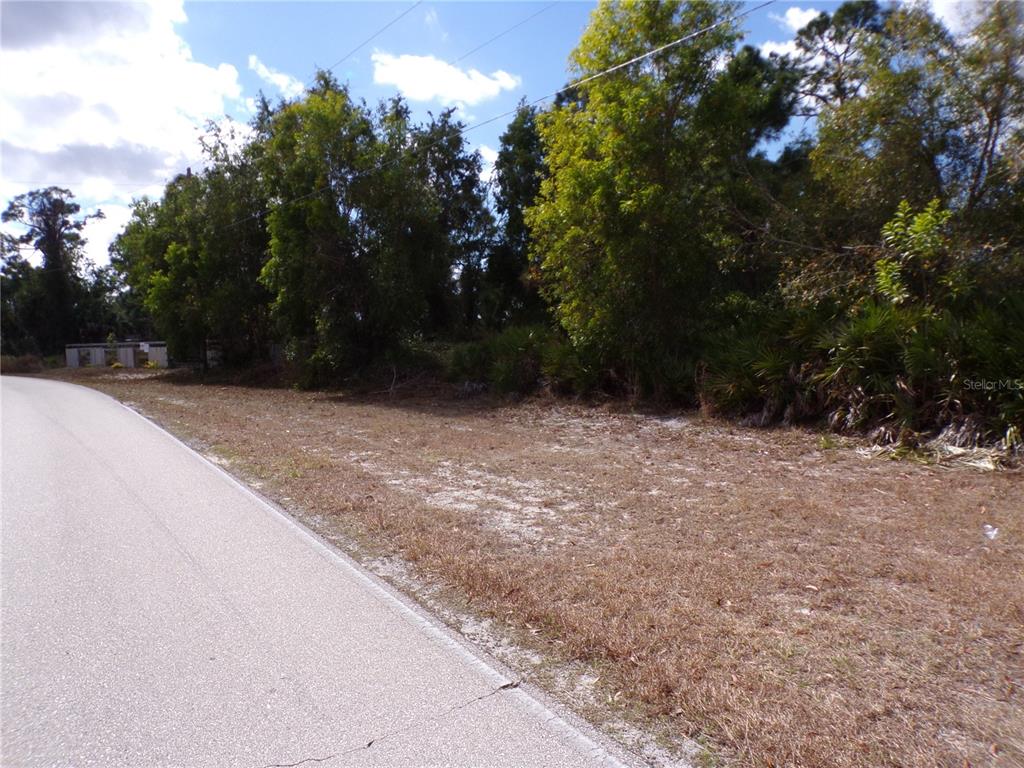 A paved road runs alongside a vacant, wooded lot with sandy ground and dense vegetation — 12253 GREEN GULF BOULEVARD, PUNTA GORDA, FL