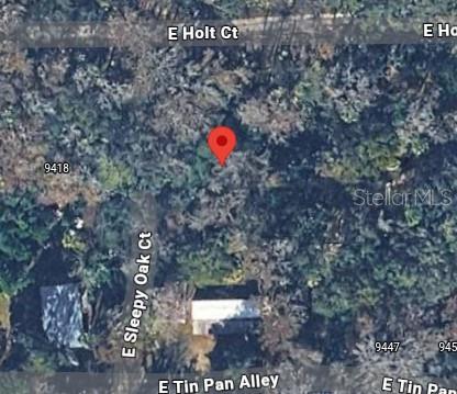 This is an aerial map view showing a wooded lot with a red location pin — 9436 E SLEEPY OAK COURT, INVERNESS, FL