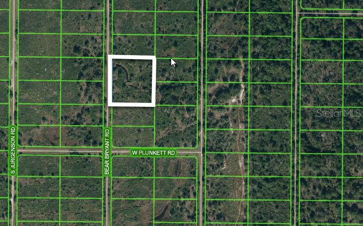 This is an aerial map showing a highlighted rectangular plot of land near rural roads — 1859 BEAR BRYANT ROAD, AVON PARK, FL
