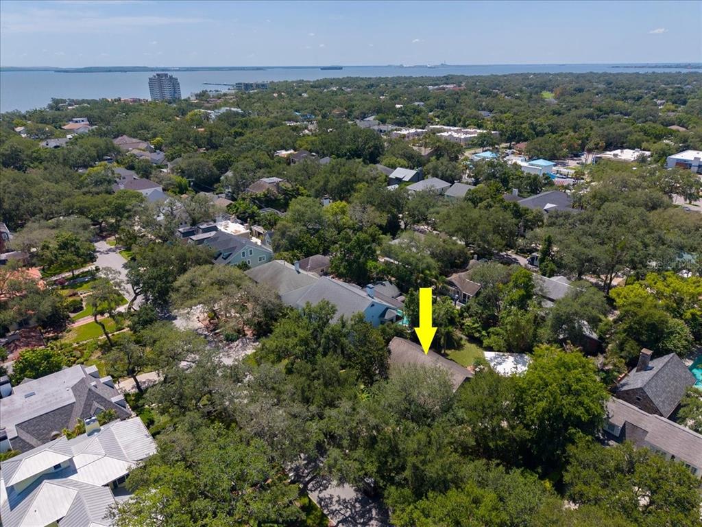 3020 W VILLA ROSA PARK, TAMPA, FL — photo 5 of 16