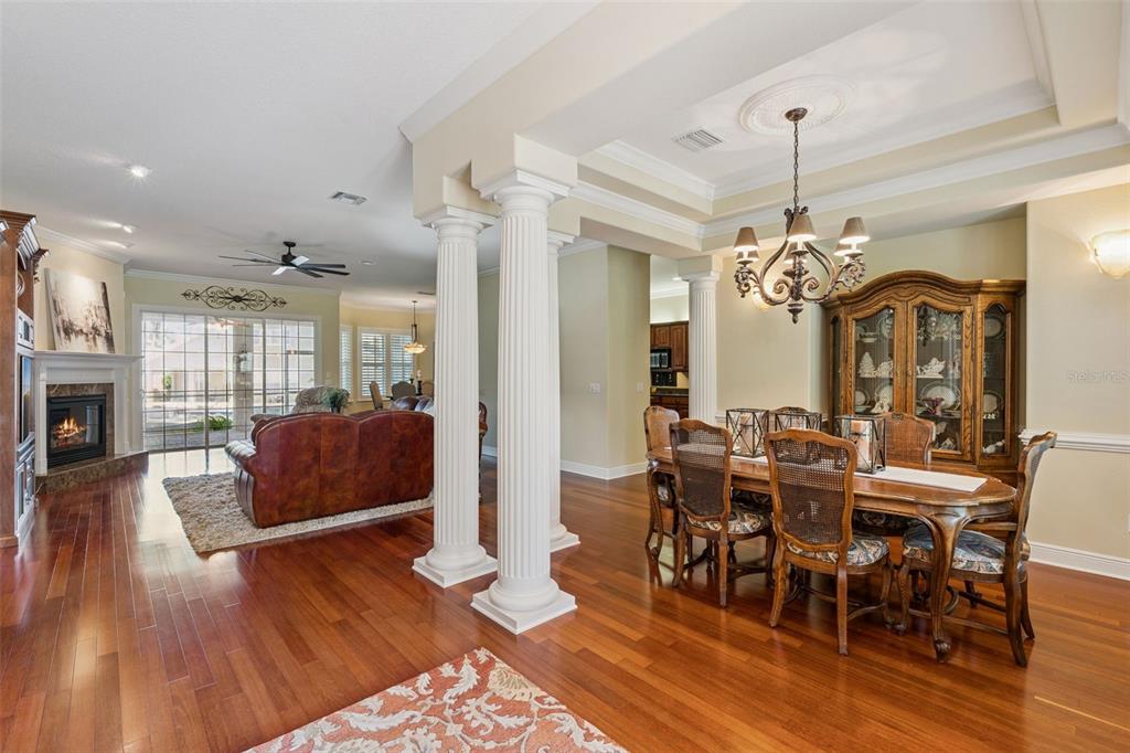 A dining room with a chandelier and columns opens into a living room with a fireplace — 440 TIERRA VERDE LANE, WINTER GARDEN, FL
