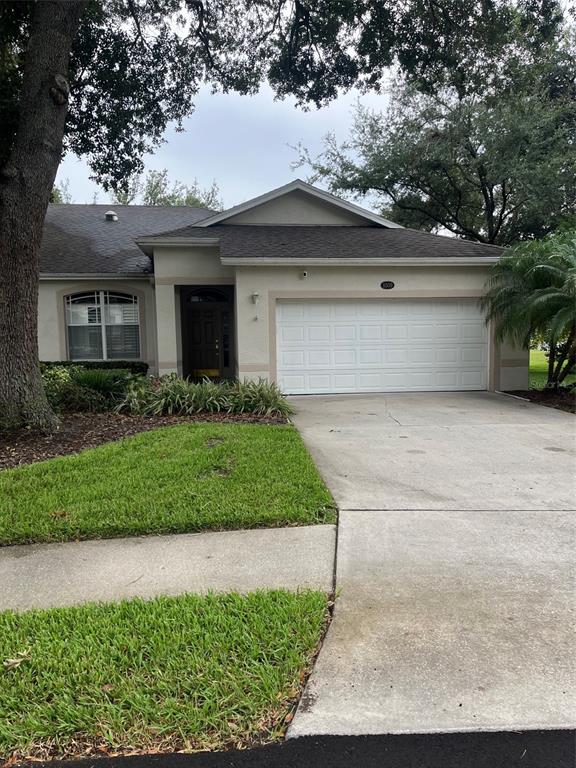 8509 ALEXANDRA ARBOR LANE
