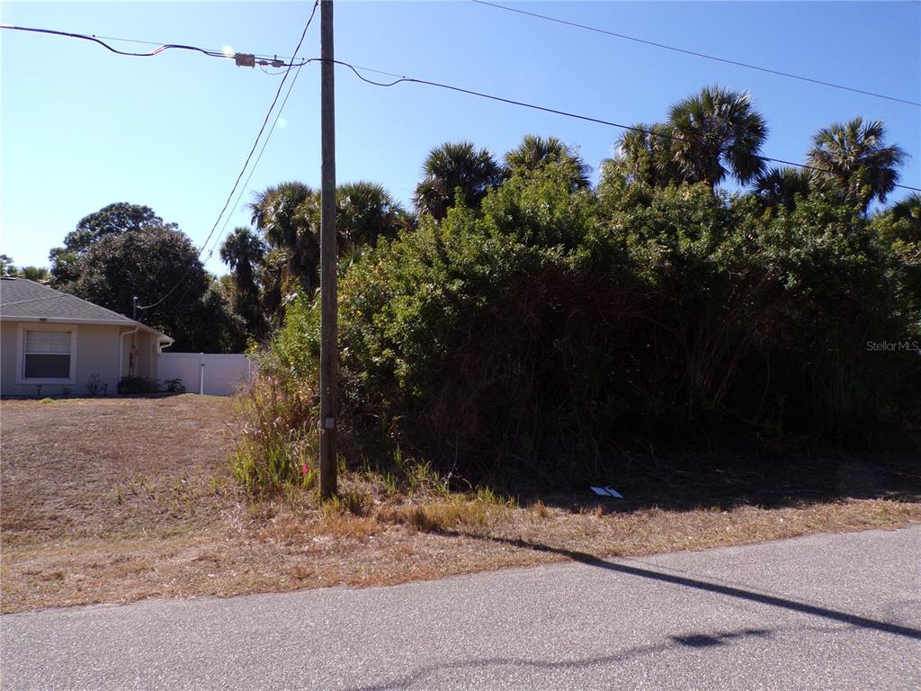 A utility pole stands in front of a vacant, overgrown lot next to a house — ALBATROS LANE, NORTH PORT, FL