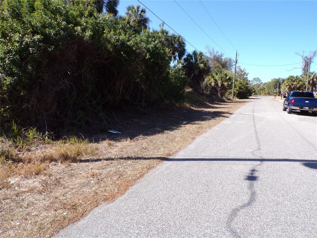 A paved road runs alongside a grassy shoulder bordered by dense trees and shrubs — ALBATROS LANE, NORTH PORT, FL