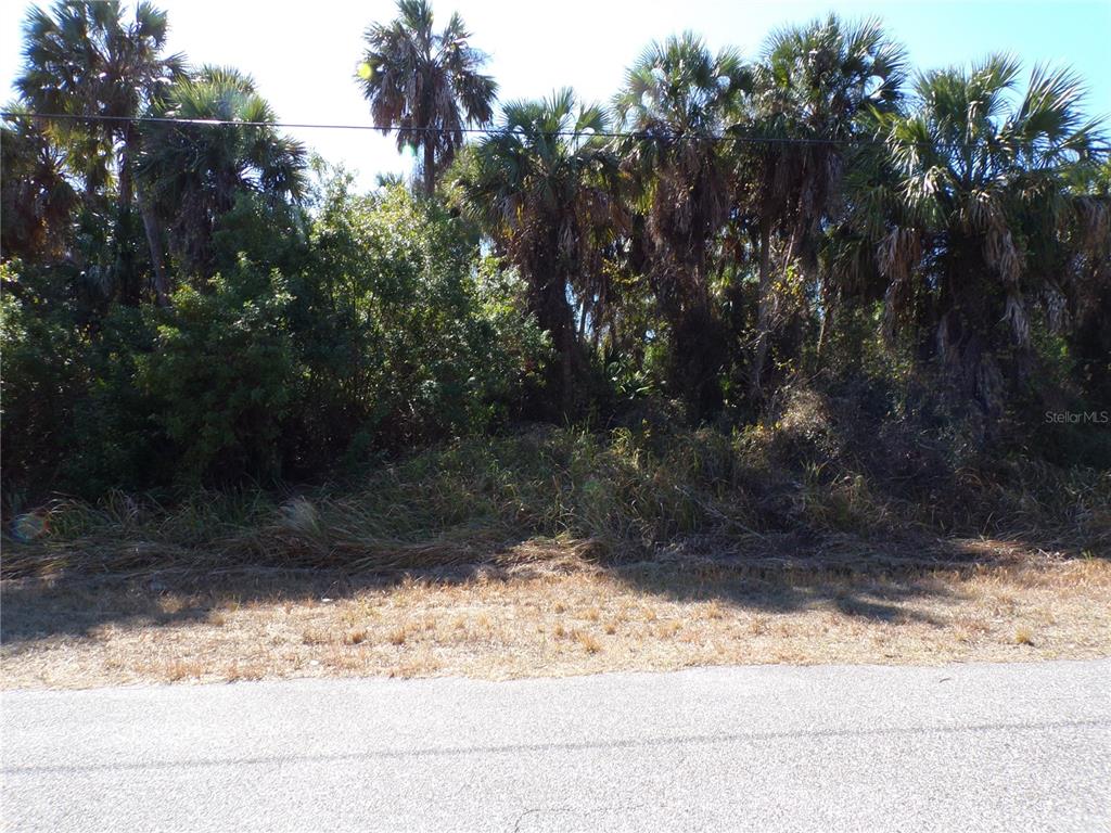 A vacant, overgrown lot with palm trees and dense vegetation borders a paved road — ALBATROS LANE, NORTH PORT, FL