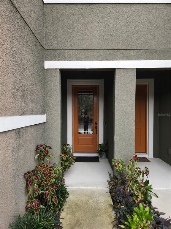 5508 VIOLA LEE WAY, LUTZ, FL — photo 3 of 30