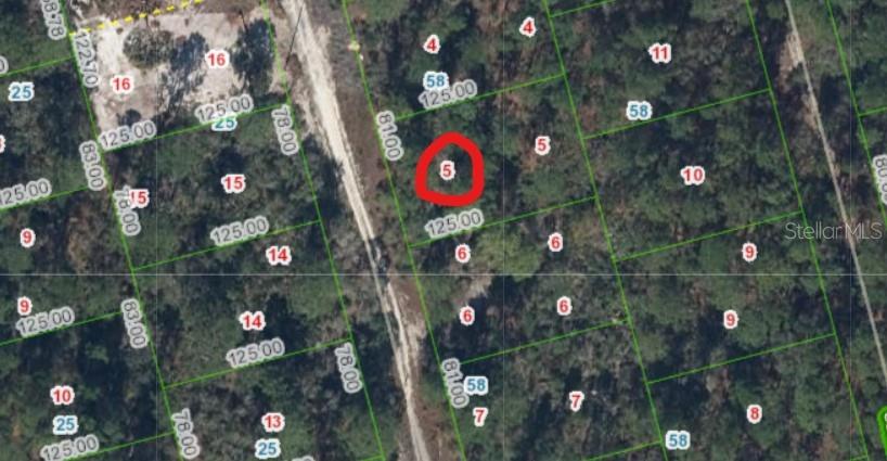 This is a satellite map view showing a highlighted plot of land among other parcels — 213 IMAGINATION DRIVE, LAKE PLACID, FL