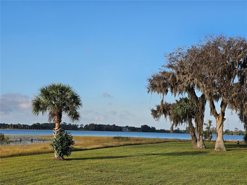A grassy lawn with a palm tree and moss-covered trees overlooks a lake — 213 IMAGINATION DRIVE, LAKE PLACID, FL