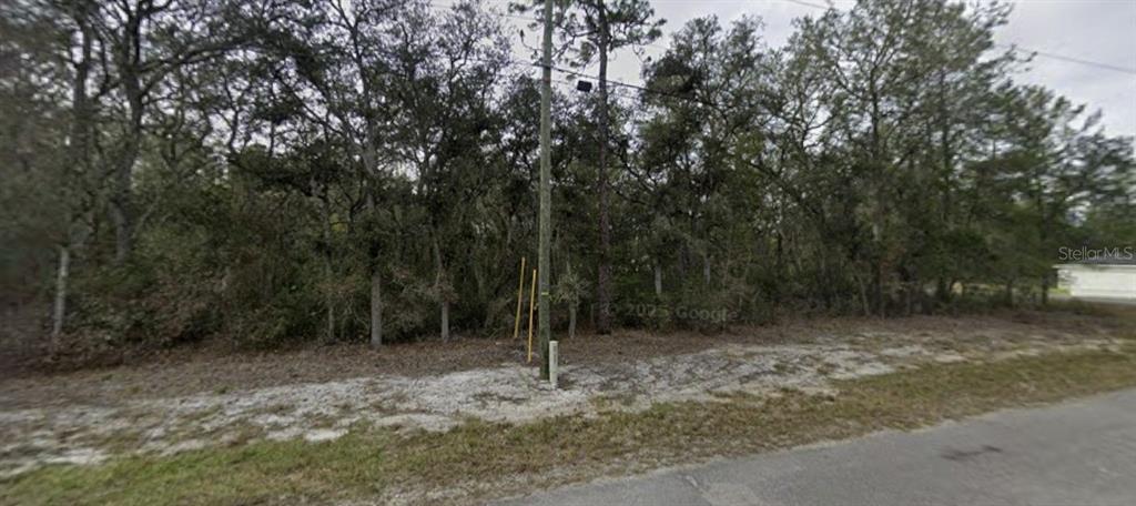 A vacant, wooded lot sits along a paved road with a utility pole in front — TBD SE FISHER WAY PL, OCKLAWAHA, FL