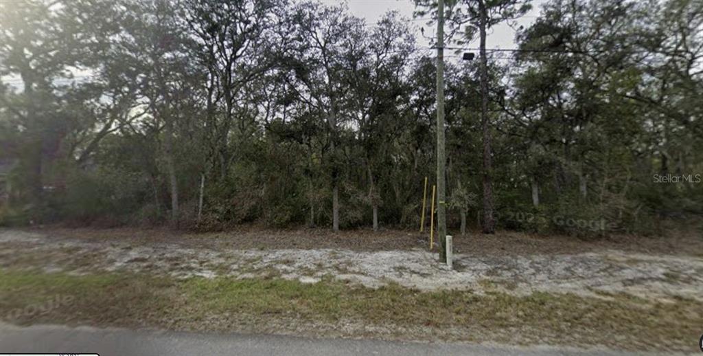 A wooded, undeveloped residential lot is viewed from the street — TBD SE FISHER WAY PL, OCKLAWAHA, FL