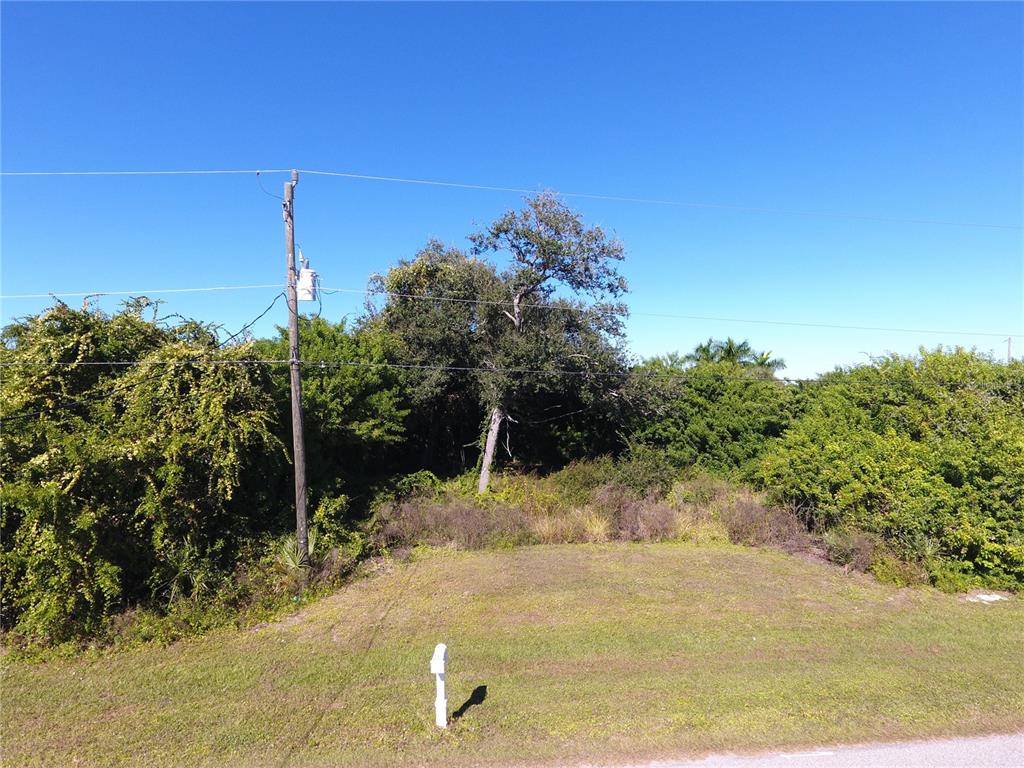 A grassy vacant lot is bordered by dense trees and a utility pole — 394 ALBATROSS ROAD, ROTONDA WEST, FL